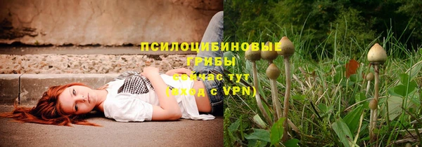 гидра Армянск