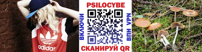 Галлюциногенные грибы Cubensis  купить закладку  Барабинск 